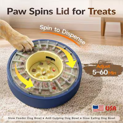 Kadtc Slow Feeder Dog Puzzle Bowl & Treat Dispenser