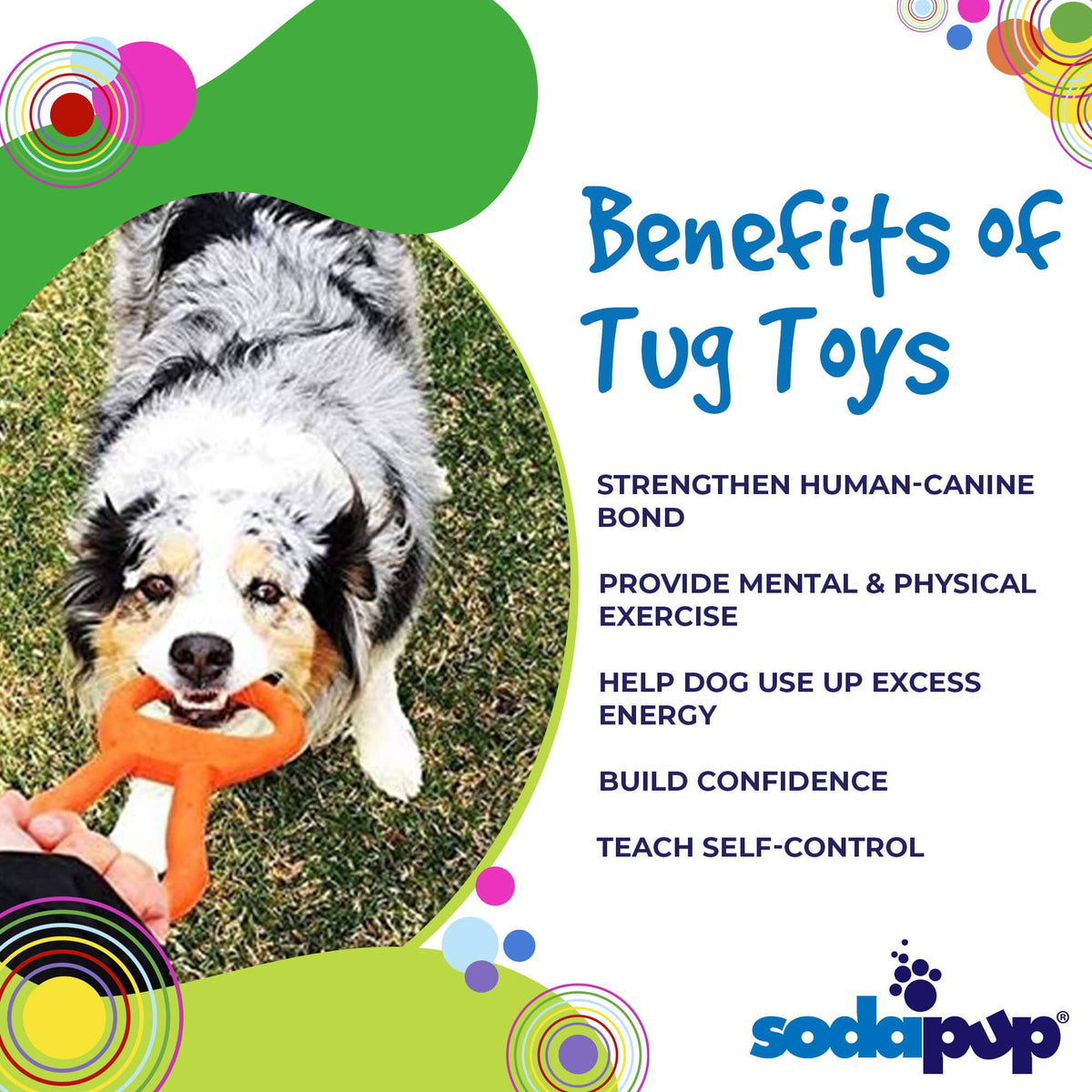 Pop Top Rubber Tug Toy for Interactive Play | Heavy Chewers | USA Made | SodaPup