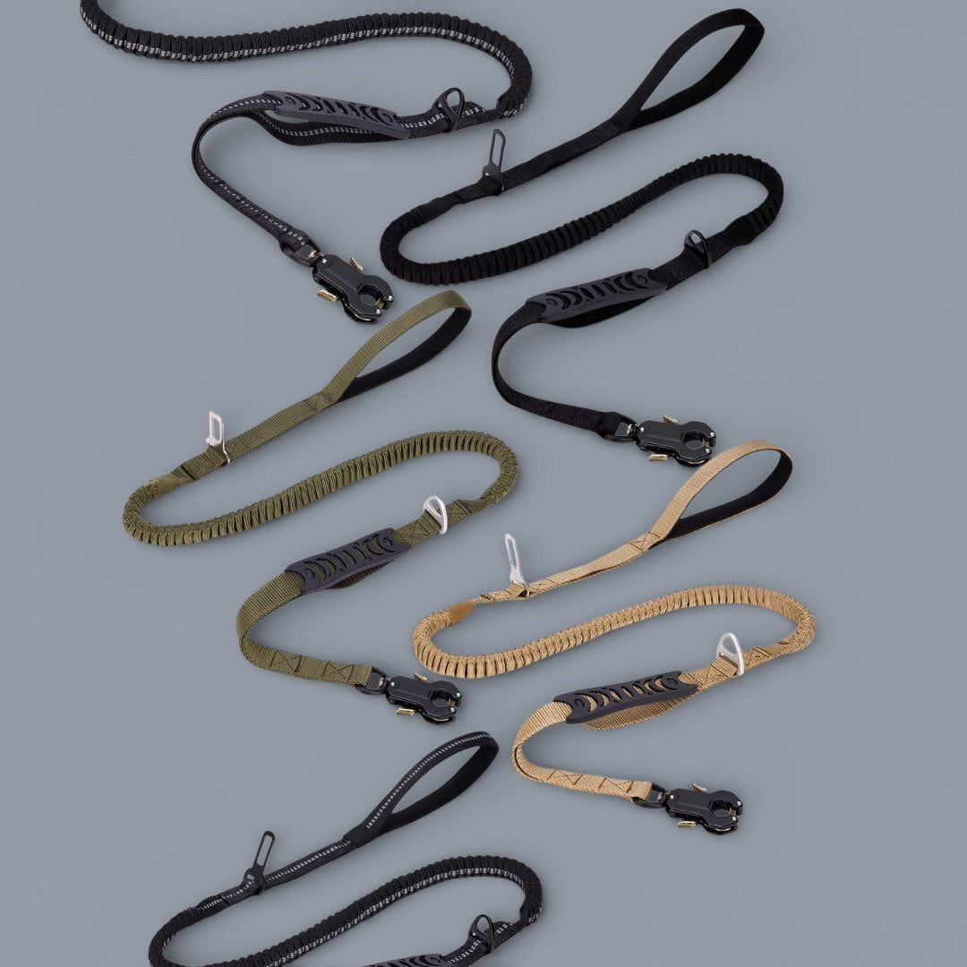Quick-Release Frog Clip Bungee Leash - (Absorbs Pulls)