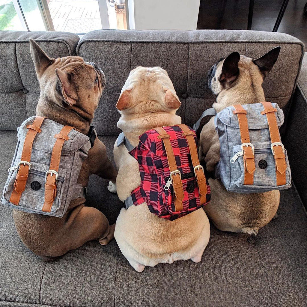 Gray Mini Dog Backpack with Waste-Bag Dispenser