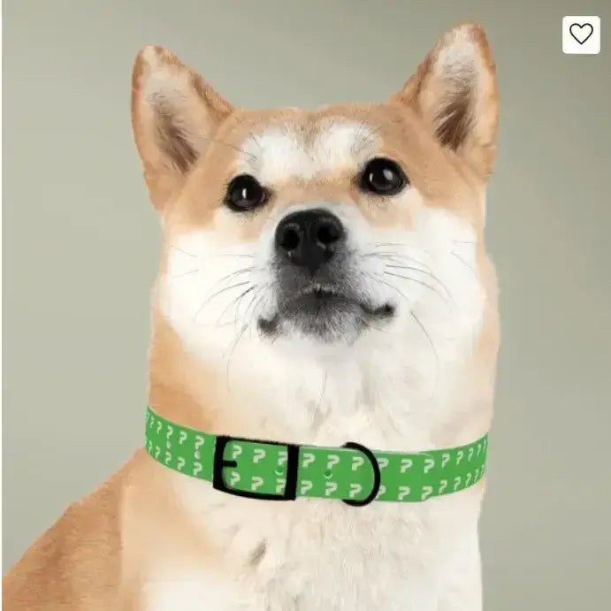 Personalized Pet Collar — Customize Dog Collars, Dog Accessories
